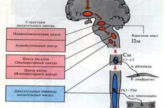 Газовый котел Висман Витопенд 100-W: неисправности, отзывы, инструкция по эксплуатации и настройке (модели A1HB001, A1JB010, A1JB009)